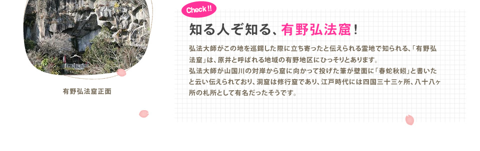 知る人ぞ知る、有野弘法窟！