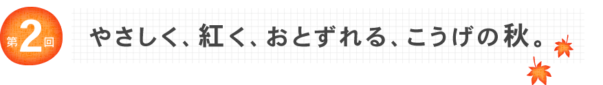 第2回　やさしく、紅く、おとずれる、こうげの秋。